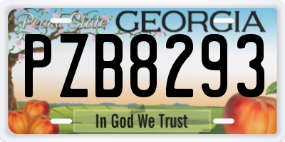 GA license plate PZB8293