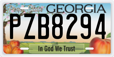 GA license plate PZB8294
