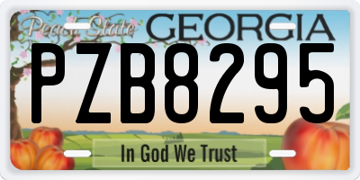 GA license plate PZB8295
