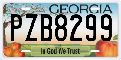 GA license plate PZB8299