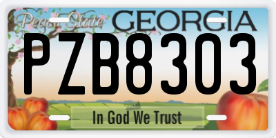 GA license plate PZB8303
