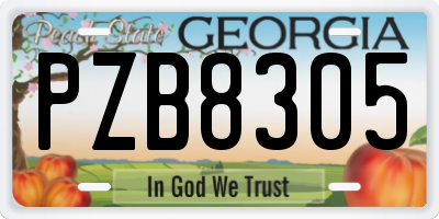 GA license plate PZB8305