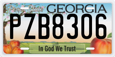 GA license plate PZB8306