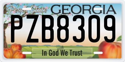 GA license plate PZB8309