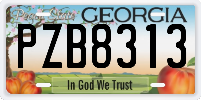 GA license plate PZB8313