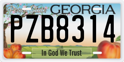 GA license plate PZB8314