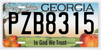 GA license plate PZB8315