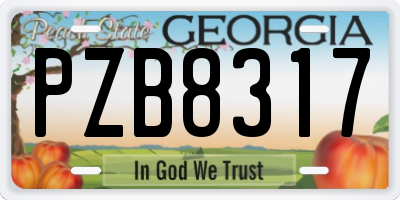 GA license plate PZB8317