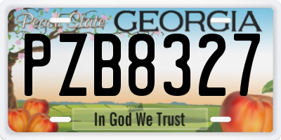 GA license plate PZB8327