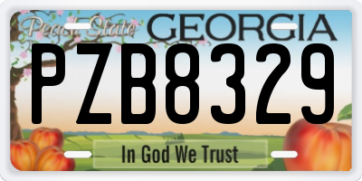 GA license plate PZB8329