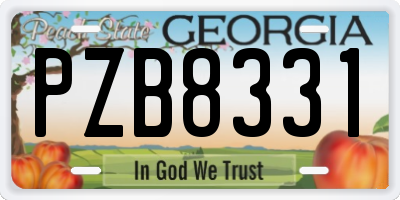 GA license plate PZB8331