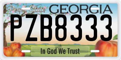 GA license plate PZB8333