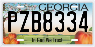 GA license plate PZB8334