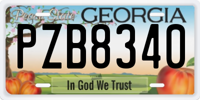 GA license plate PZB8340