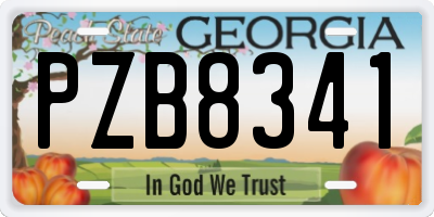 GA license plate PZB8341