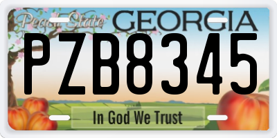 GA license plate PZB8345