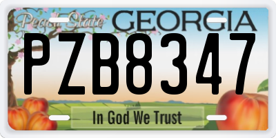 GA license plate PZB8347