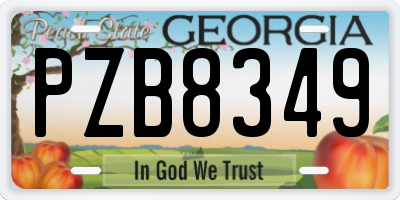 GA license plate PZB8349