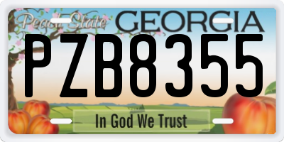 GA license plate PZB8355