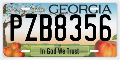 GA license plate PZB8356