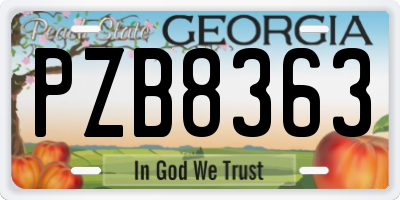 GA license plate PZB8363
