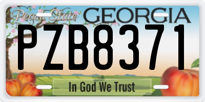 GA license plate PZB8371