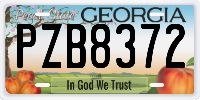 GA license plate PZB8372