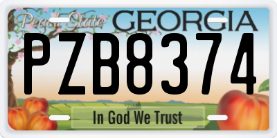 GA license plate PZB8374
