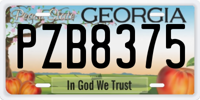 GA license plate PZB8375