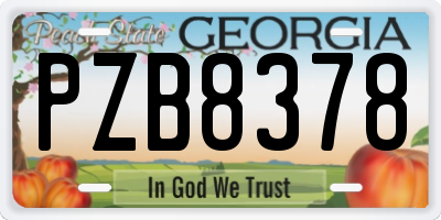 GA license plate PZB8378