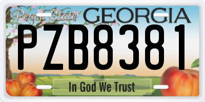 GA license plate PZB8381