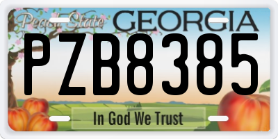 GA license plate PZB8385