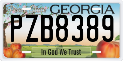 GA license plate PZB8389
