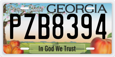 GA license plate PZB8394