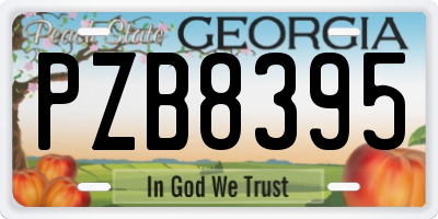 GA license plate PZB8395