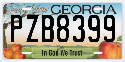 GA license plate PZB8399