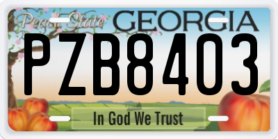 GA license plate PZB8403