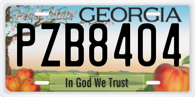 GA license plate PZB8404