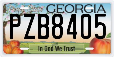 GA license plate PZB8405