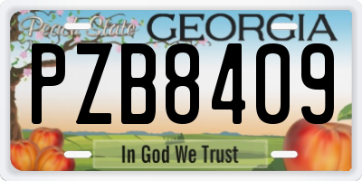 GA license plate PZB8409