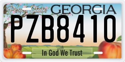 GA license plate PZB8410