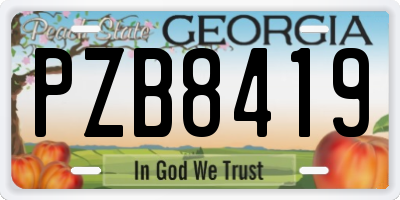 GA license plate PZB8419
