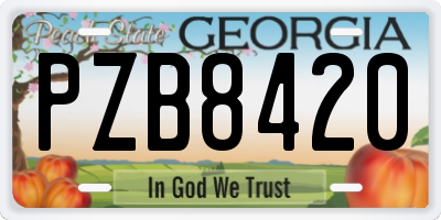 GA license plate PZB8420