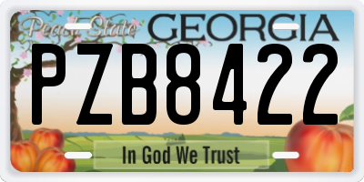 GA license plate PZB8422