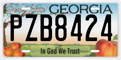 GA license plate PZB8424