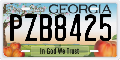 GA license plate PZB8425