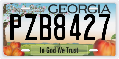 GA license plate PZB8427