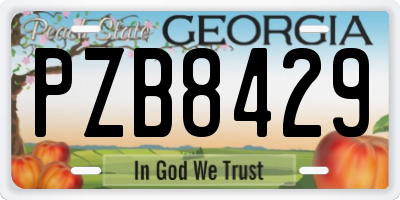 GA license plate PZB8429