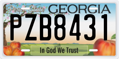GA license plate PZB8431