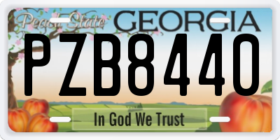 GA license plate PZB8440